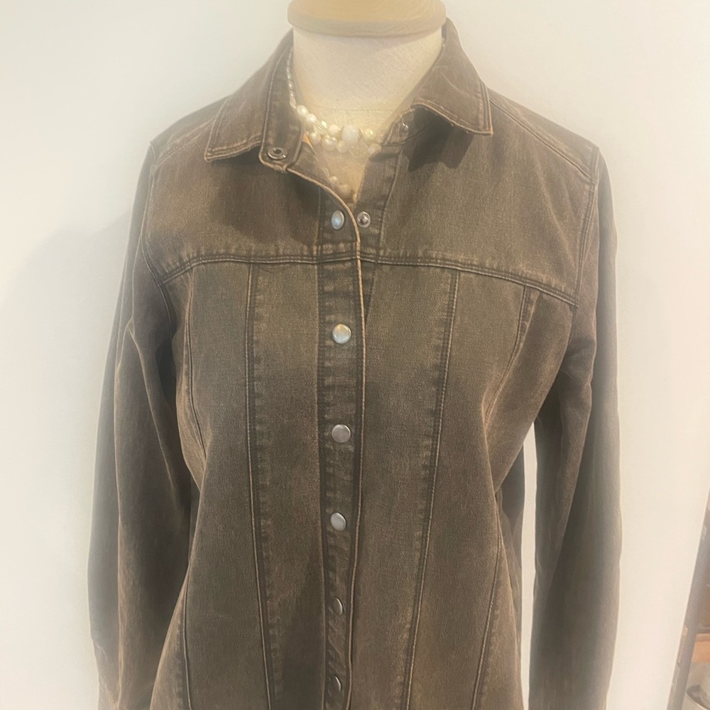 Elegant Brown Button Down Denim Shirt